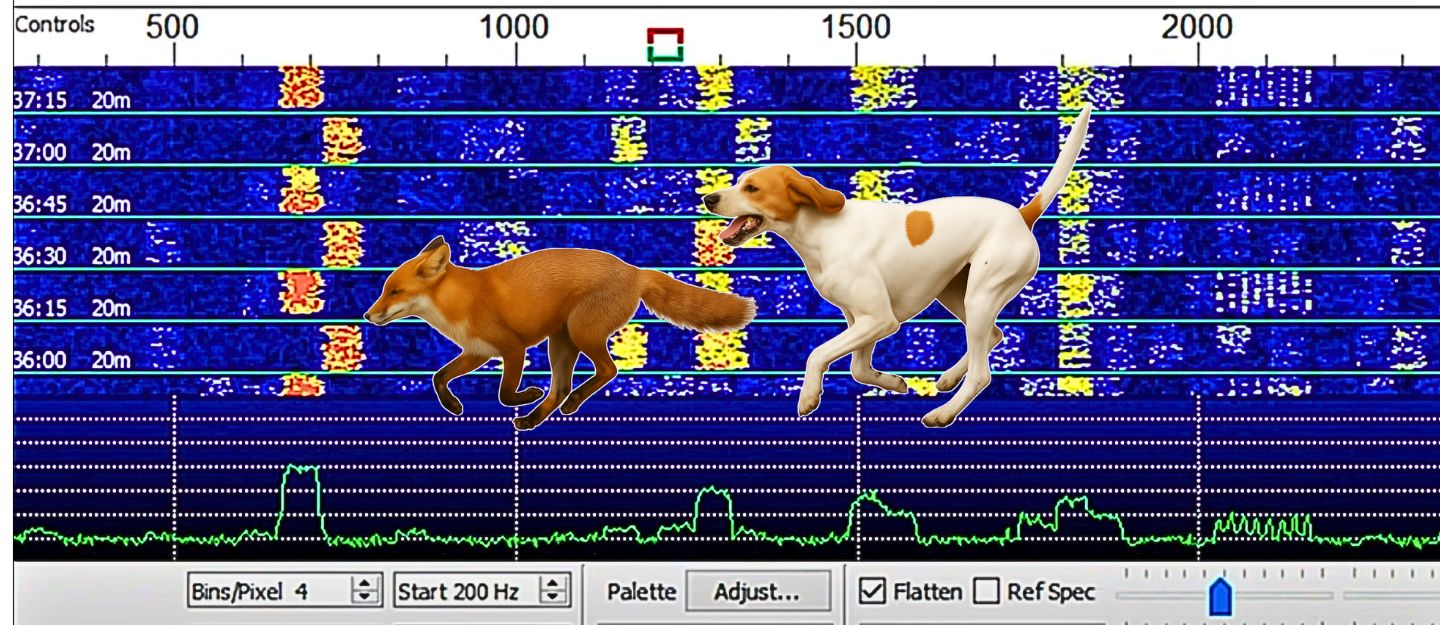 Fox and Hound FT8
