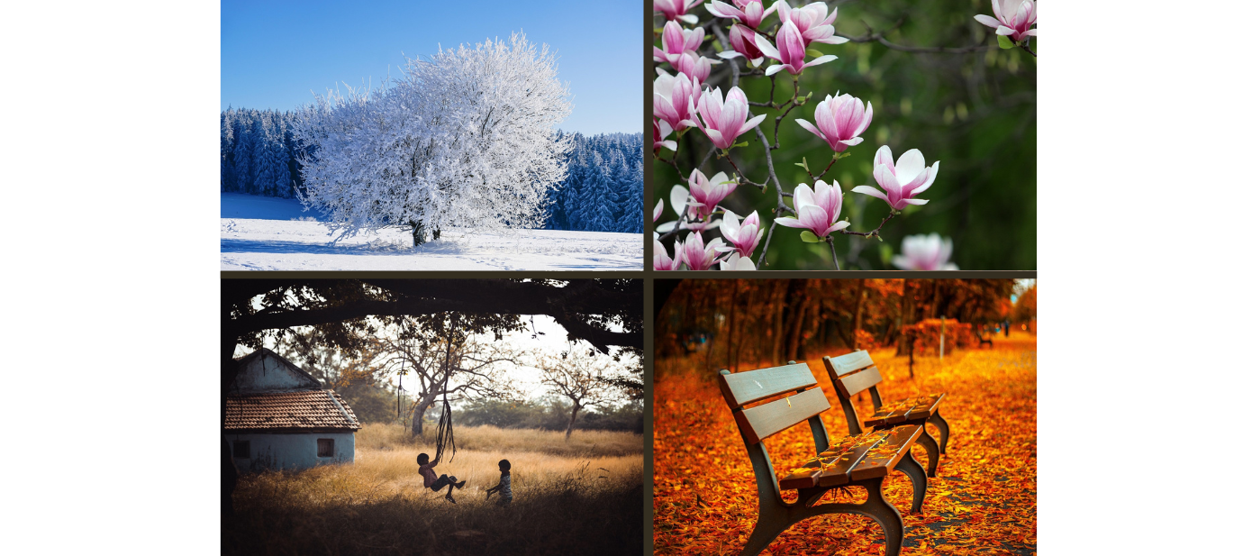 Seasonal Propagation Changes