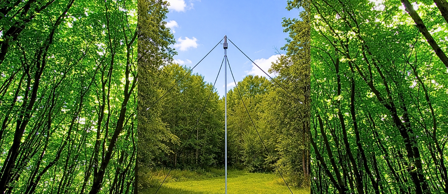 ZS6BKW Antenna
